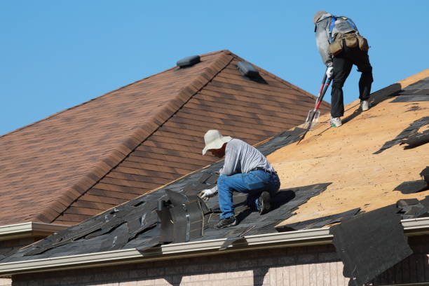 Professional Roofing services in Ball Pond, CT
